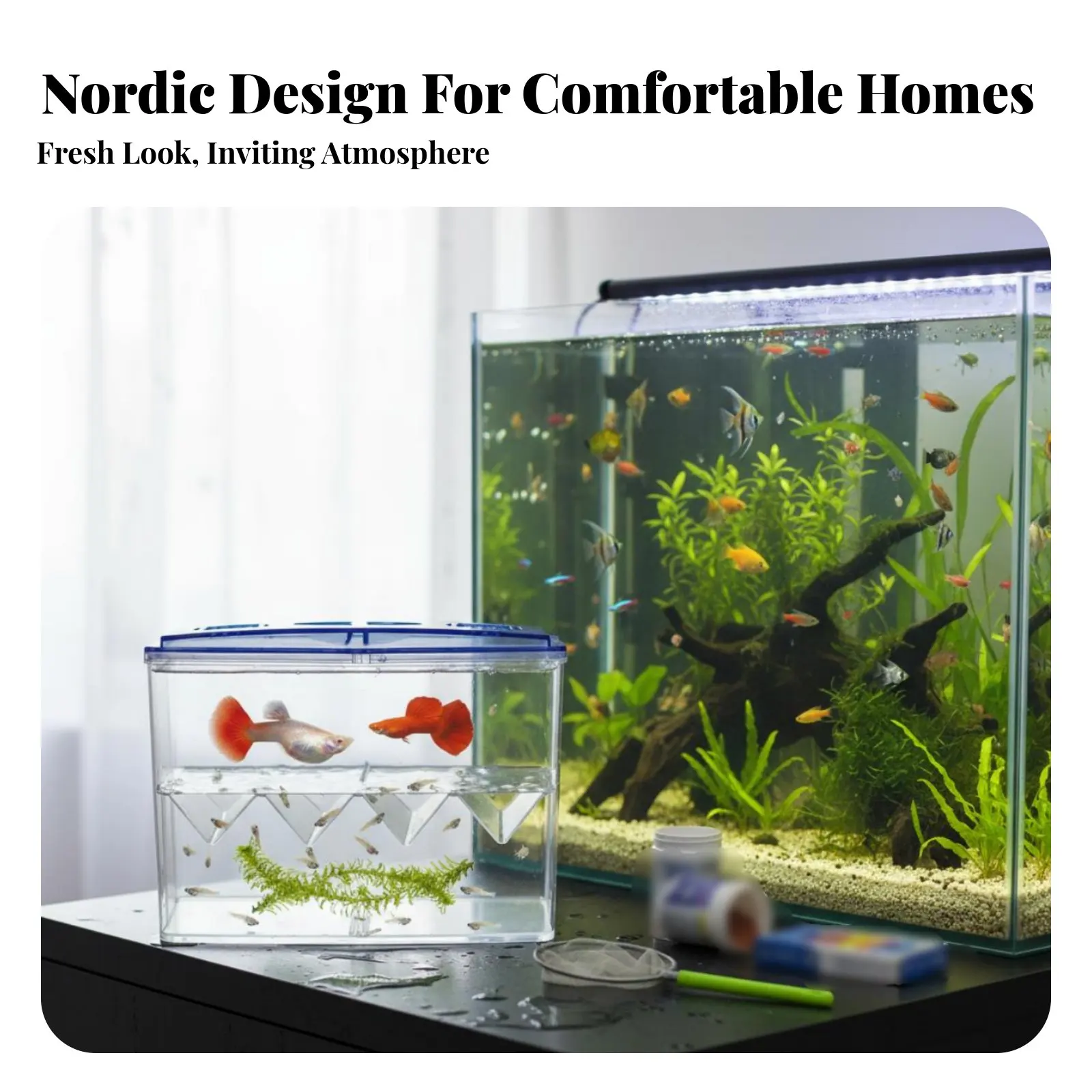 Aquatic Pet Breeding Box High Clarity Aquatic Pet Separation Box Acrylic Fry Nursery Highly Transparent Buoyant Hatchery
Aquatic Pet Breeding Box High Clarity Aquatic Pet Separation Box Acrylic Fry Nursery Highly Transparent Buoyant Hatchery
