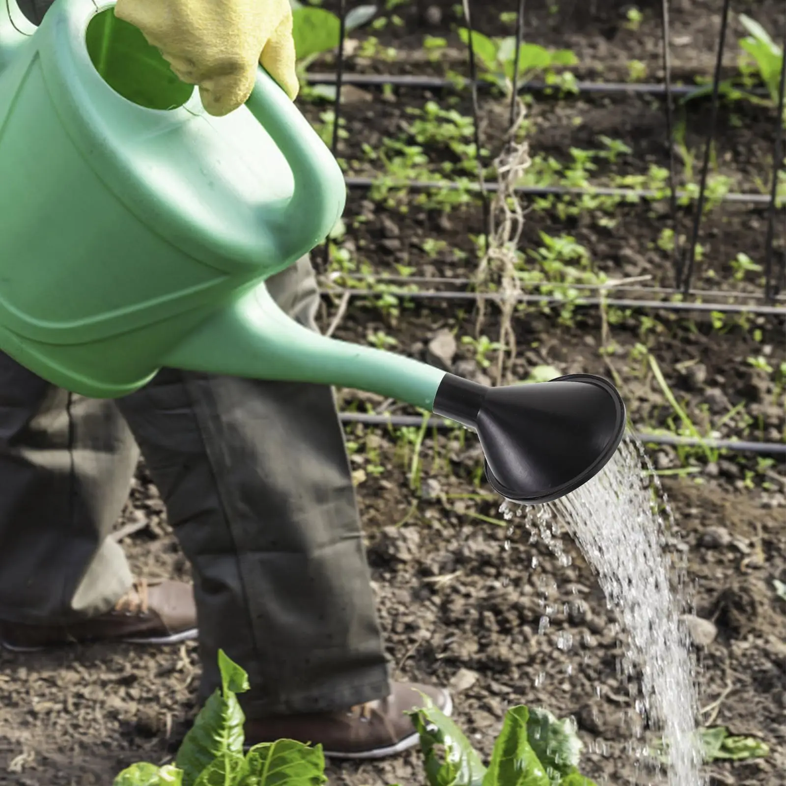 Watering Can 24mm Black Diameter Plastic Even Sprinkle Flowers Water Can Sprinkler Caps Plants Gardening Supplies Sprayer Nozzle
Watering Can 24mm Black Diameter Plastic Even Sprinkle Flowers Water Can Sprinkler Caps Plants Gardening Supplies Sprayer Nozzle