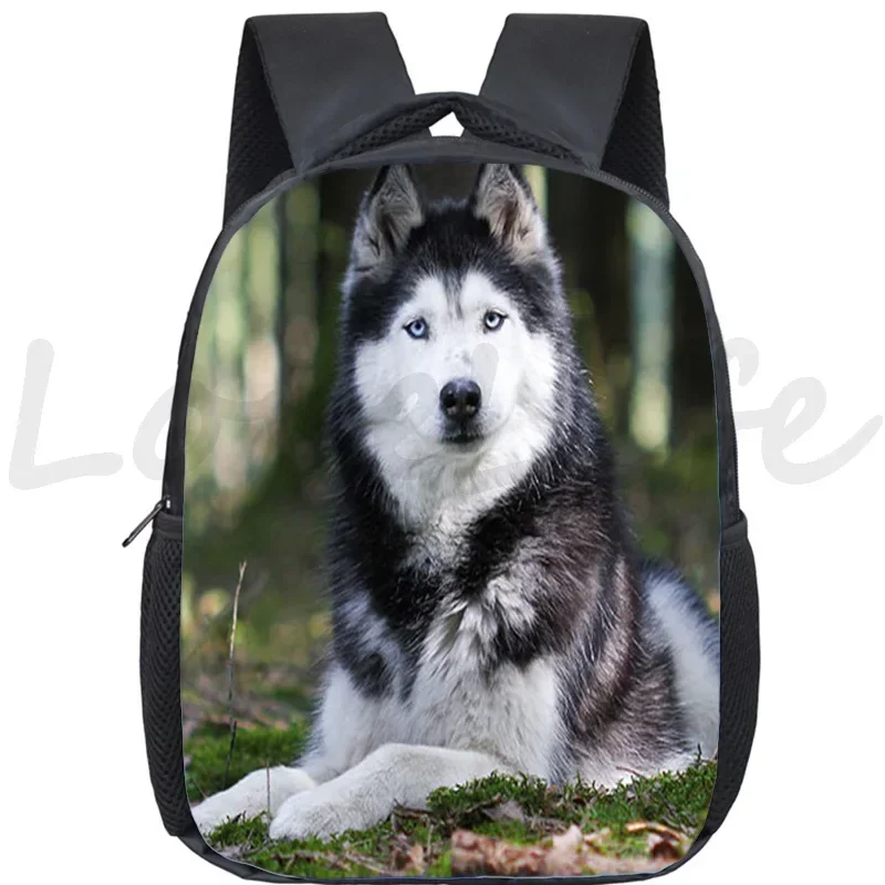 New Bulldog Husky Dog Kindergarten Bags Boston Terrier Child Backpack Cute Animals School Bags for Boy Girl German Kids Bookbag
New Bulldog Husky Dog Kindergarten Bags Boston Terrier Child Backpack Cute Animals School Bags for Boy Girl German Kids Bookbag