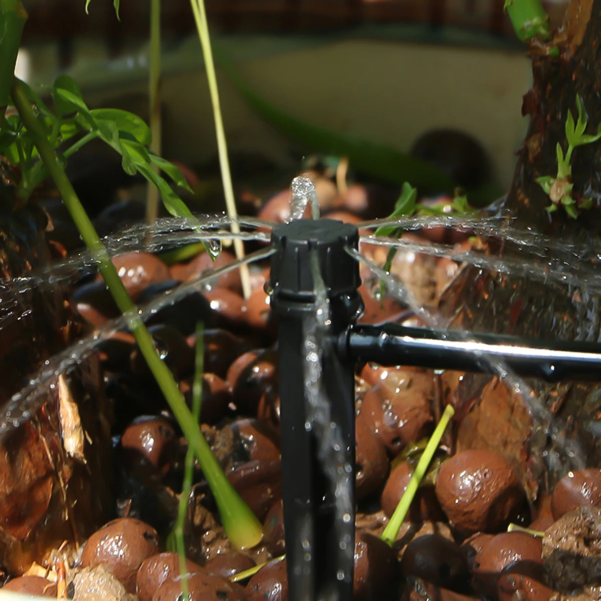 24 Pcs Device Drip Automatic Tools Irrigation System Self Spikes Tools Plant Garden Equipment Lawn Sprayer
24 Pcs Device Drip Automatic Tools Irrigation System Self Spikes Tools Plant Garden Equipment Lawn Sprayer
