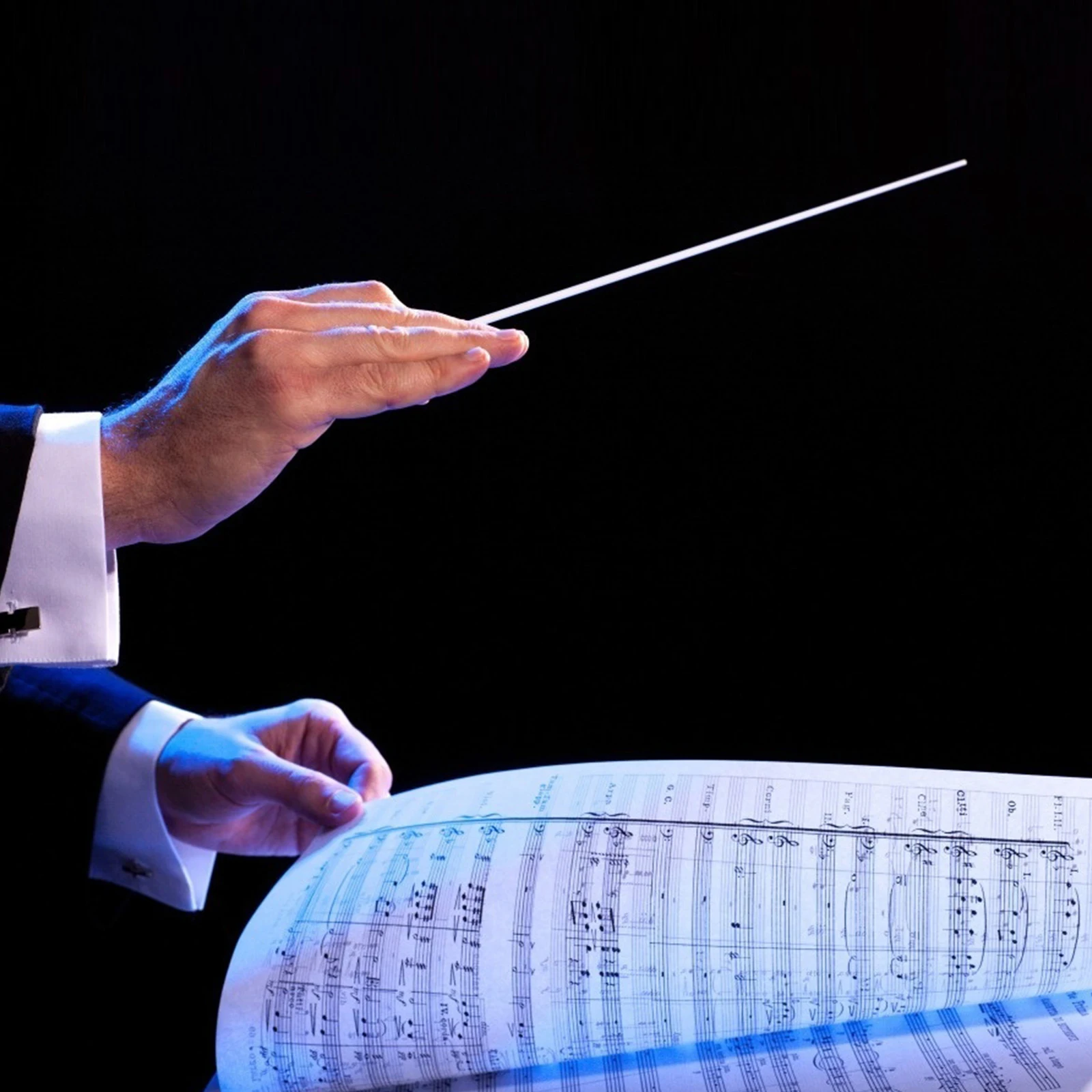 2Pcs Music Baton Resin High Strength Durable Portable Conductor Supply Long Handle Comfortable Direction
2Pcs Music Baton Resin High Strength Durable Portable Conductor Supply Long Handle Comfortable Direction