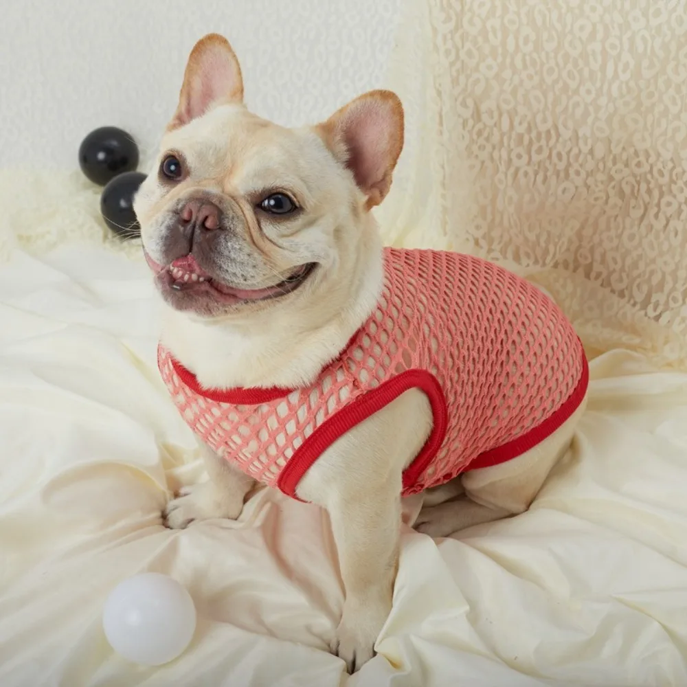 Summer Thin Pet Mesh Vest Sleeveless Comfortable Dog T-shirt Sun Protection Cool Breathable Pet Clothes Four Seasons
Summer Thin Pet Mesh Vest Sleeveless Comfortable Dog T-shirt Sun Protection Cool Breathable Pet Clothes Four Seasons