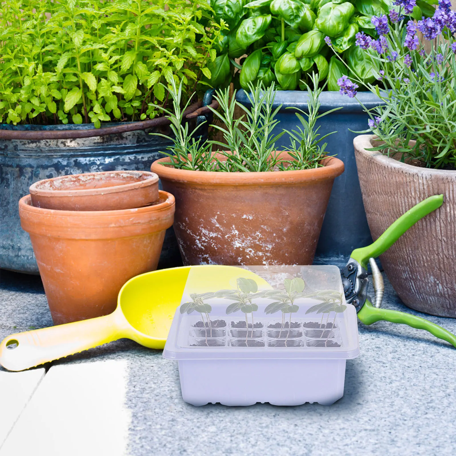 2Sets Garden Sprouter Tray Moisture Heat Preservation Allowing Fast Germination Flower Vegetable Fruit Propagator Starter Kit
2Sets Garden Sprouter Tray Moisture Heat Preservation Allowing Fast Germination Flower Vegetable Fruit Propagator Starter Kit