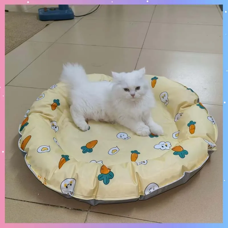 Pet Ice Mat 60x60cm Cat And Dog Summer Cool Mat Cat Nest Ice Mat Dog Cool Mat Sleeping Bed Mat Cooling Tool Pet Products
Pet Ice Mat 60x60cm Cat And Dog Summer Cool Mat Cat Nest Ice Mat Dog Cool Mat Sleeping Bed Mat Cooling Tool Pet Products