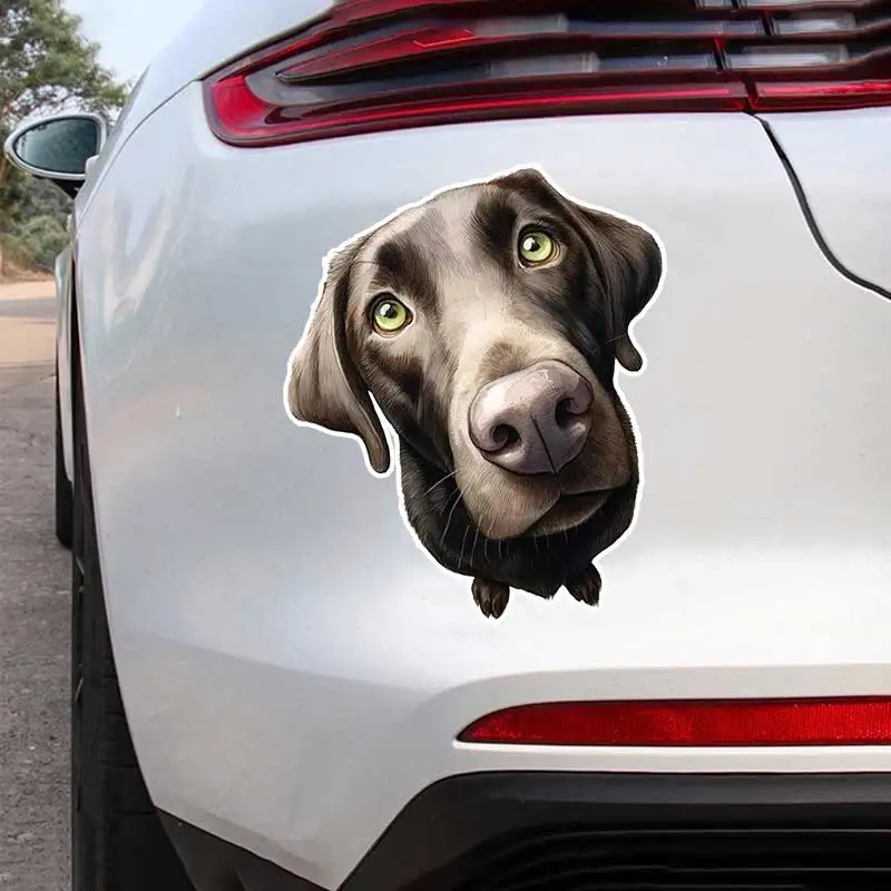 The Puppy Tilted his head to look Car Sticker Vinyl Decal Waterproof Rear Window Camper Bumper Truck Laptop Decoration SH1625
The Puppy Tilted his head to look Car Sticker Vinyl Decal Waterproof Rear Window Camper Bumper Truck Laptop Decoration SH1625
