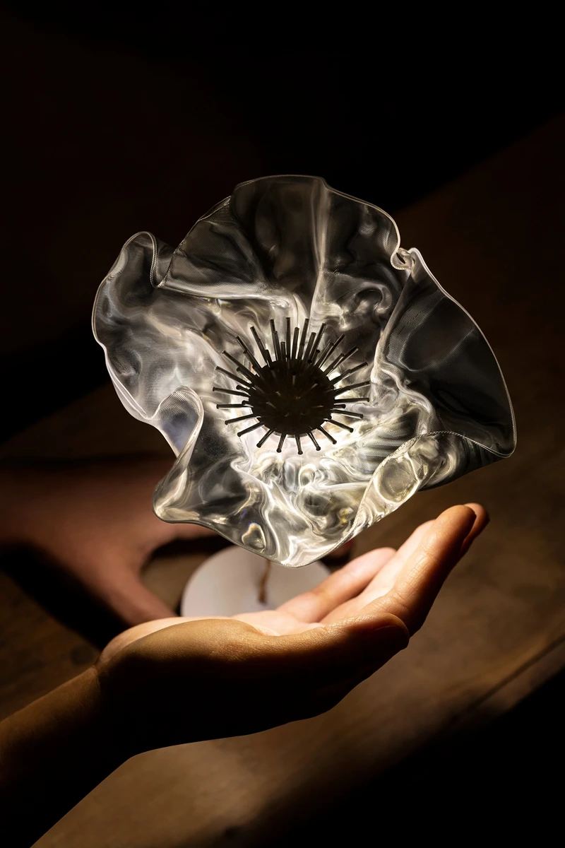 Итальянский дизайнерский минималистичный и креативный La Fleur цветочная серия для спальни, прикроватная тумбочка для гостиной, перезаряжаемая настольная лампа для дома 2025
Итальянский дизайнерский минималистичный и креативный La Fleur цветочная серия для спальни, прикроватная тумбочка для гостиной, перезаряжаемая настольная лампа для дома 2025
