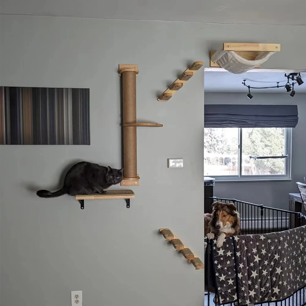 Wall-Mounted Cat Furniture Felt Hanging Platform Scratching Post Sisal Ladder Cat Hammock Wooden Shelves for Cats
Wall-Mounted Cat Furniture Felt Hanging Platform Scratching Post Sisal Ladder Cat Hammock Wooden Shelves for Cats