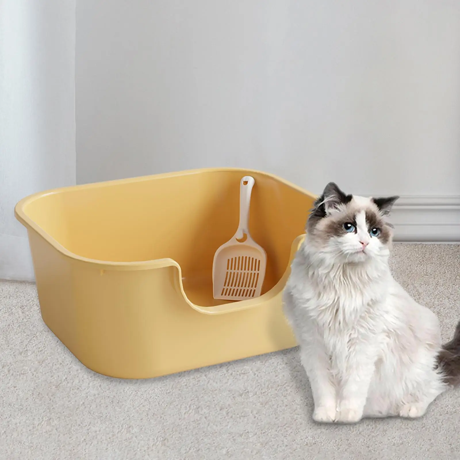 Cat Litter Box Litter Basin High Sided Reusable Nonstick Kitty Litter Pans Open
Cat Litter Box Litter Basin High Sided Reusable Nonstick Kitty Litter Pans Open