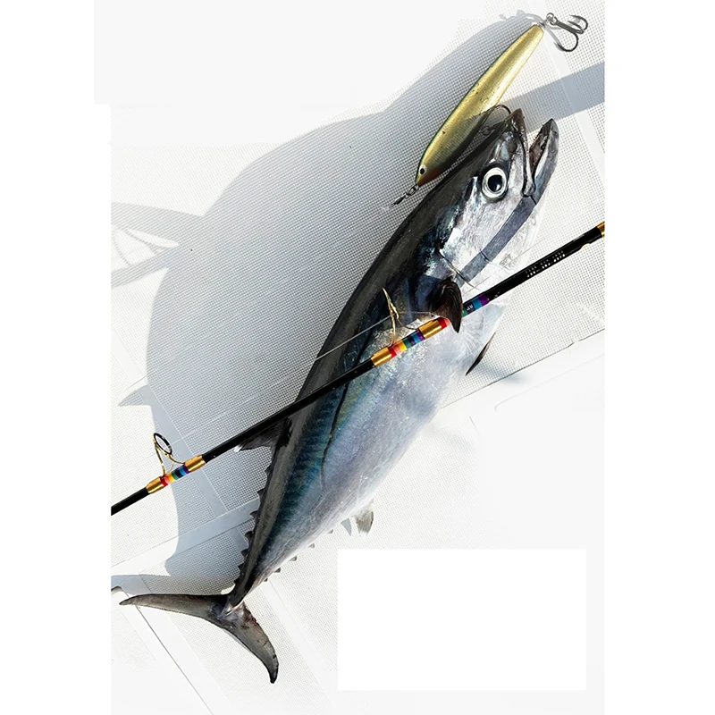 ECOODA GT-FISHER RTP 80M 3 Sections 8' Popping Rod 25kg Drag Power Fishing Rod 50g-140g Bait Weight Saltwater Fishing Rod
ECOODA GT-FISHER RTP 80M 3 Sections 8' Popping Rod 25kg Drag Power Fishing Rod 50g-140g Bait Weight Saltwater Fishing Rod