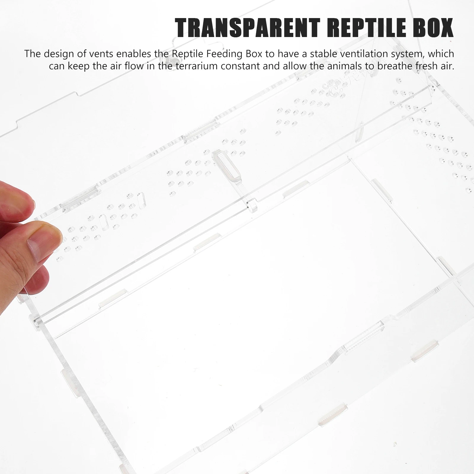Reptile Feeding Box Lightweight Portable Terrarium Cage for Turtle Spiders Snakes Crabs Gecko Tank Transparent
Reptile Feeding Box Lightweight Portable Terrarium Cage for Turtle Spiders Snakes Crabs Gecko Tank Transparent