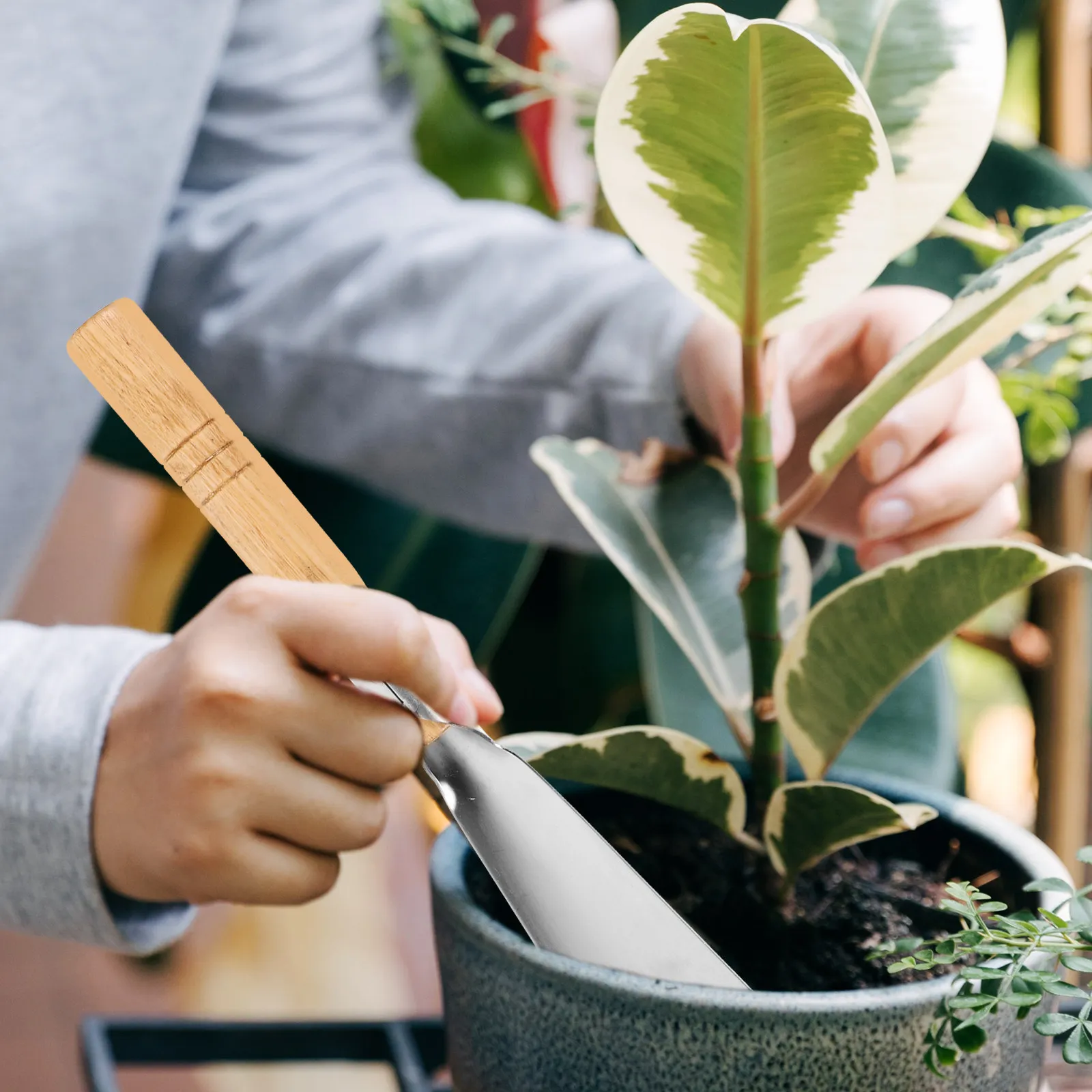 Премиум-лопатка для сада с лезвием из нержавеющей стали и деревянной ручкой, компактная ручная лопатка для клумб, небольших участков, копания и посадки
Премиум-лопатка для сада с лезвием из нержавеющей стали и деревянной ручкой, компактная ручная лопатка для клумб, небольших участков, копания и посадки