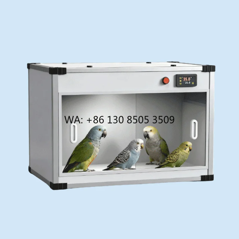 Parrot Incubator Eco-Friendly Lightweight Luxury Rectangle Shape Acrylic/PVC Indoor Dining Room Use for Chicks 0 Days Raising
Parrot Incubator Eco-Friendly Lightweight Luxury Rectangle Shape Acrylic/PVC Indoor Dining Room Use for Chicks 0 Days Raising