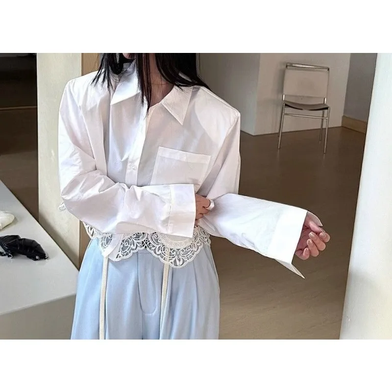 Spring and Autumn French Retro Fashion Hollow Lace Short Women's Shirt
Spring and Autumn French Retro Fashion Hollow Lace Short Women's Shirt