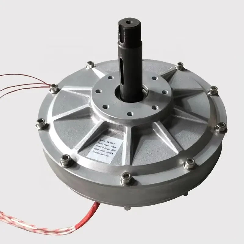Brand New Low Rpm 5kw 220v Permanent Magnet Generator With Factory Price
Brand New Low Rpm 5kw 220v Permanent Magnet Generator With Factory Price