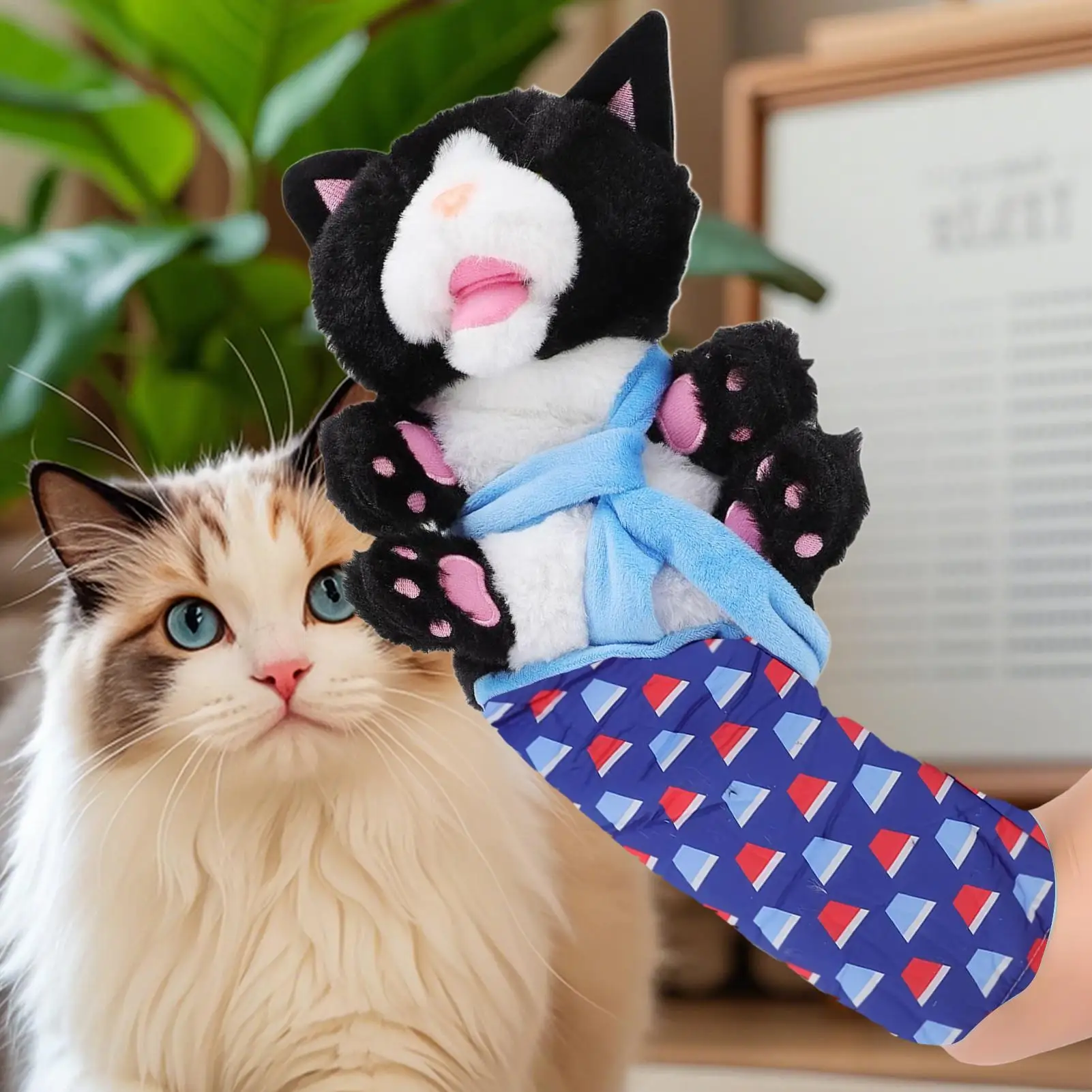 Кошачья кукла-борец, интерактивные игровые игрушки для кошек, перчатки для борьбы, портативная игрушка для обогащения кошек, мягкая игрушка-борец, перчатки для рук с животными
Кошачья кукла-борец, интерактивные игровые игрушки для кошек, перчатки для борьбы, портативная игрушка для обогащения кошек, мягкая игрушка-борец, перчатки для рук с животными