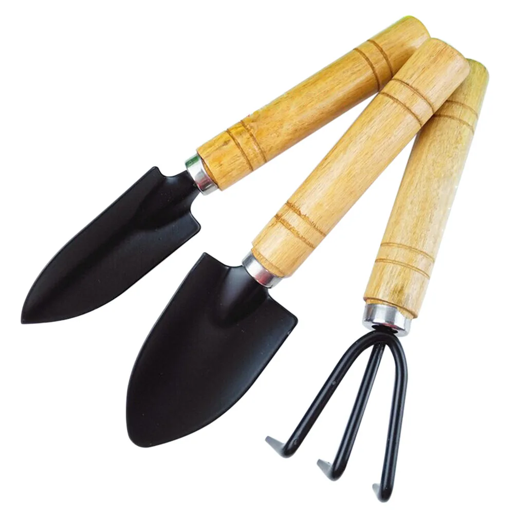 3 Pcs Plant Three-piece Set of Gardening Tools Mini Shovel Small Shovels for Trowel
3 Pcs Plant Three-piece Set of Gardening Tools Mini Shovel Small Shovels for Trowel