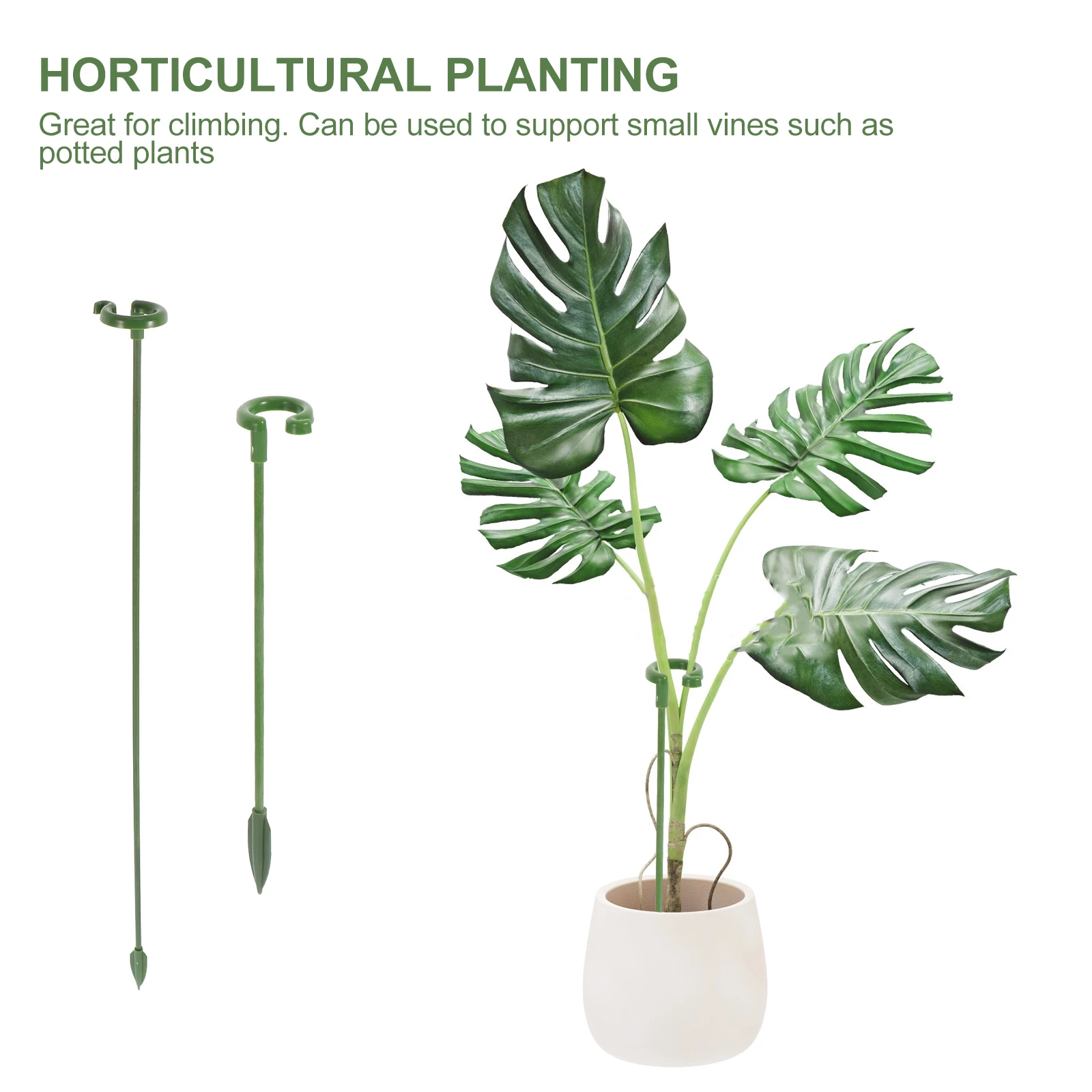 20Pcs Plant Flower Support Rack Strong Wear Resistant Flower Single Stem Holder for Potted Plants Garden Orchid Hydrangea Growth
20Pcs Plant Flower Support Rack Strong Wear Resistant Flower Single Stem Holder for Potted Plants Garden Orchid Hydrangea Growth