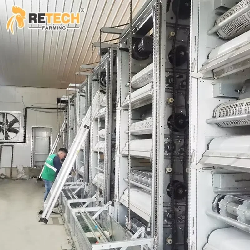 Automatic Broiler Cage Farming Equipment for Poultry Broiler Raising System with Manure Cleaning
Automatic Broiler Cage Farming Equipment for Poultry Broiler Raising System with Manure Cleaning