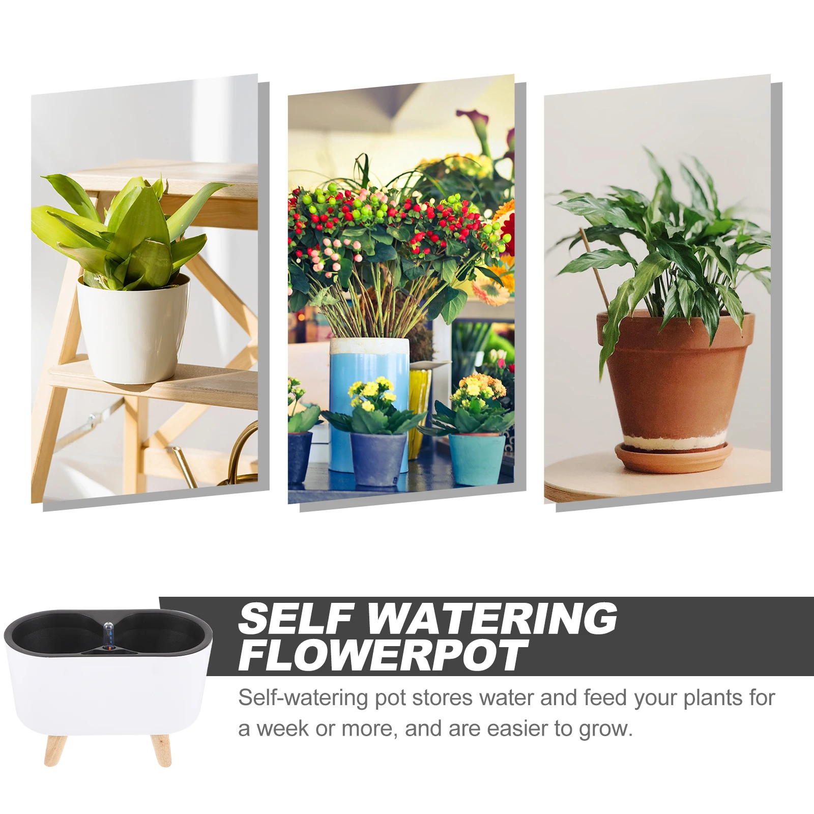 Self Watering Flower Pot White Plastic Planter Legs for Indoor Plants Office Living Room Balcony Automatic Container Lightweight
Self Watering Flower Pot White Plastic Planter Legs for Indoor Plants Office Living Room Balcony Automatic Container Lightweight