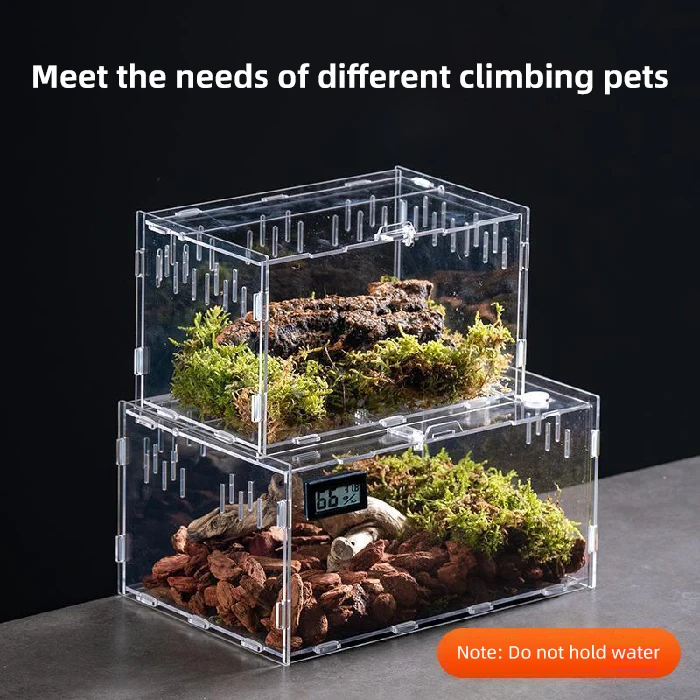 Custom Transparent Acrylic Eco-Friendly Reptile Breeding Terrarium For Snails Small Insects Rhinoceros Beetle Larvae Jumping Spi
Custom Transparent Acrylic Eco-Friendly Reptile Breeding Terrarium For Snails Small Insects Rhinoceros Beetle Larvae Jumping Spi