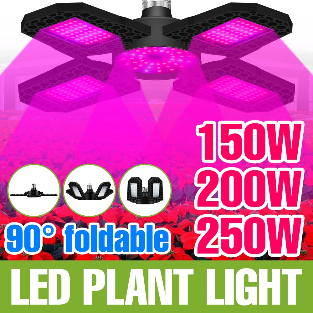 250W LED Plant Grow Light Full Spectrum 220V Indoor Cultivation Lamp E27/E26 Deformable Flower Seeds Vegs Fill Lighting Bulb
250W LED Plant Grow Light Full Spectrum 220V Indoor Cultivation Lamp E27/E26 Deformable Flower Seeds Vegs Fill Lighting Bulb