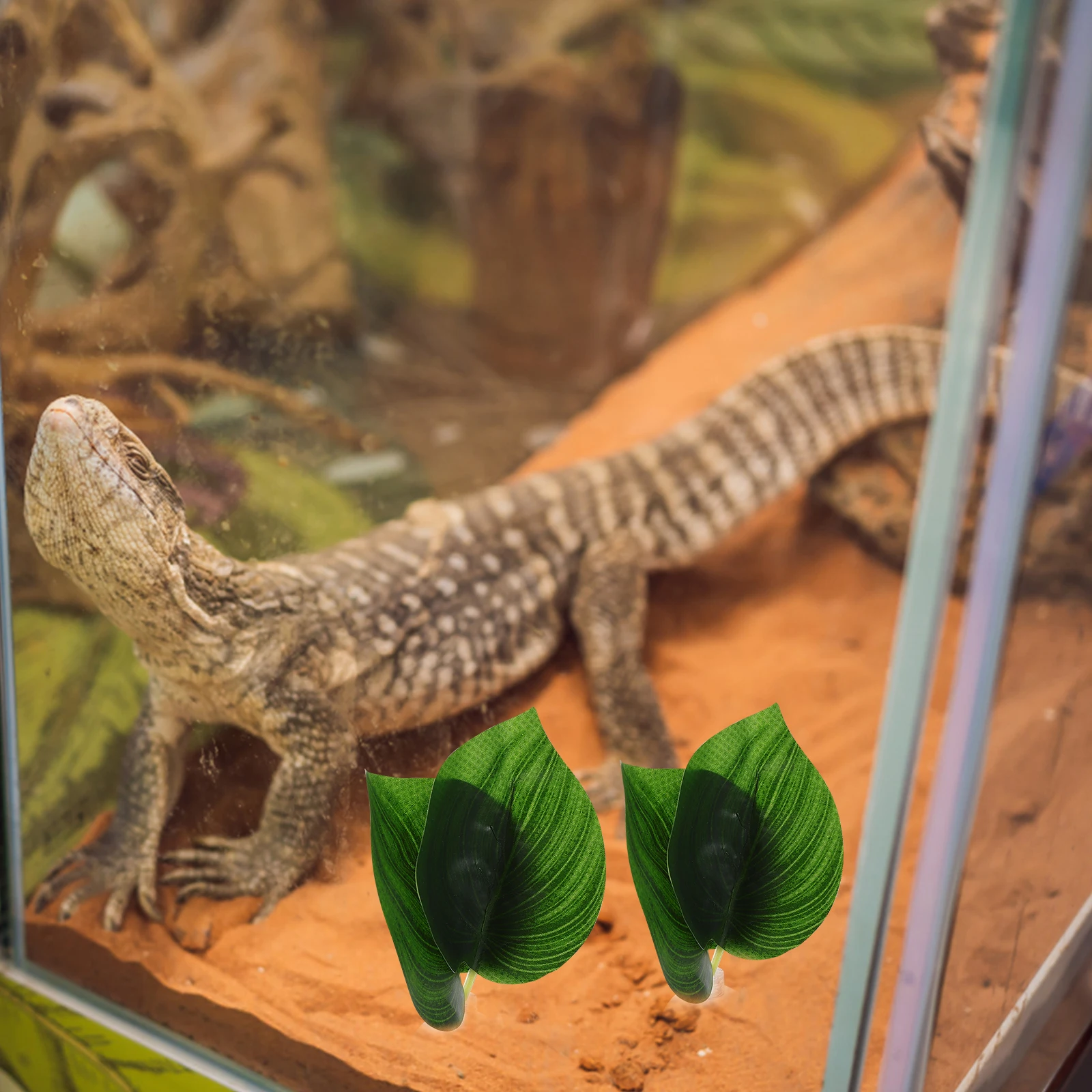 2pcs Premium Simulated For Reptile Artificial Green Lifelike Aquarium Fish Tank Decor Reptile Box Supplies Fake Plastic Plants
2pcs Premium Simulated For Reptile Artificial Green Lifelike Aquarium Fish Tank Decor Reptile Box Supplies Fake Plastic Plants