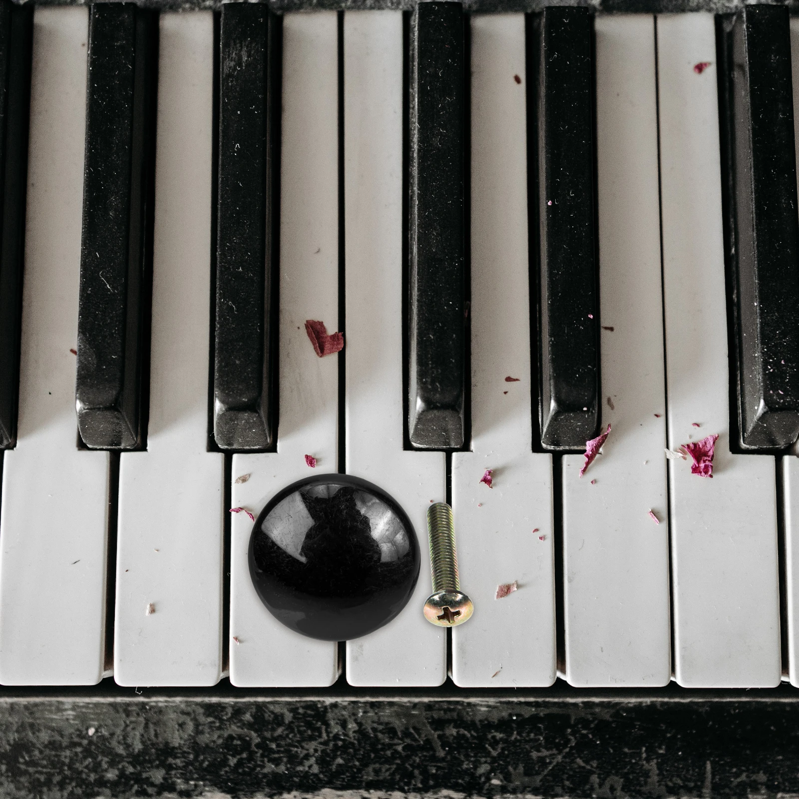 3Sets Piano Handles Heavy Duty Replace Grips for Professional Personal Use Fine Craftsmanship Piano Parts Supplies
3Sets Piano Handles Heavy Duty Replace Grips for Professional Personal Use Fine Craftsmanship Piano Parts Supplies