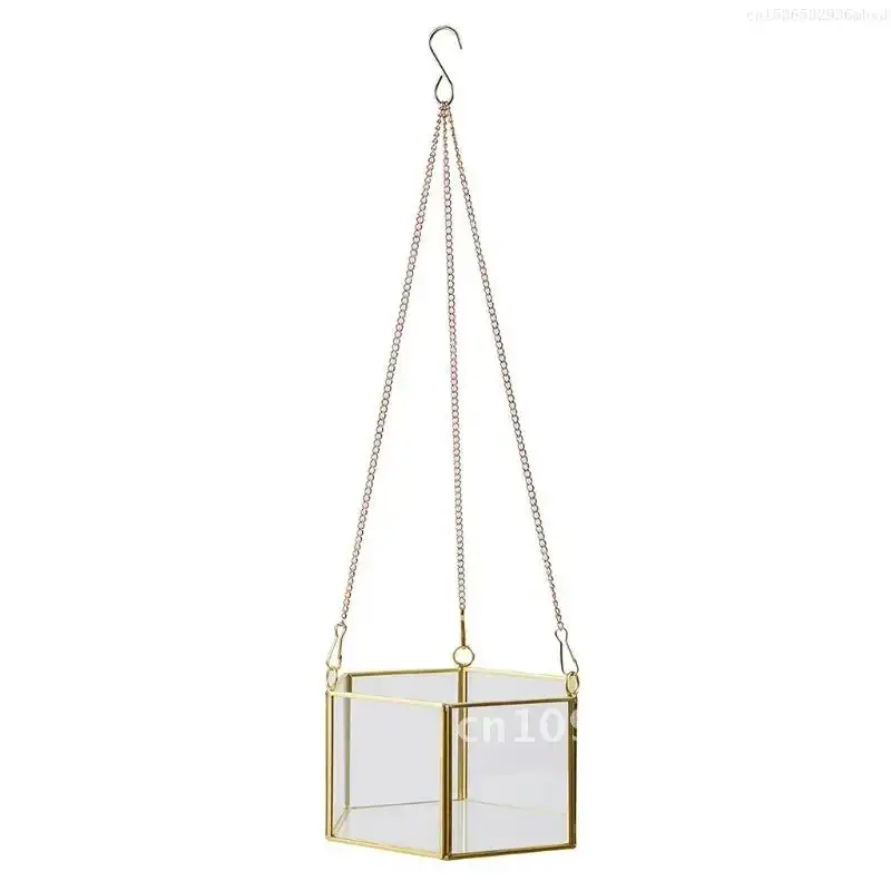 Modern Hanging Glass Terrarium F0T4 Hexagon Shaped Succulent Plant Container Flower Pot Geometric Planter Holder Air Wall
Modern Hanging Glass Terrarium F0T4 Hexagon Shaped Succulent Plant Container Flower Pot Geometric Planter Holder Air Wall