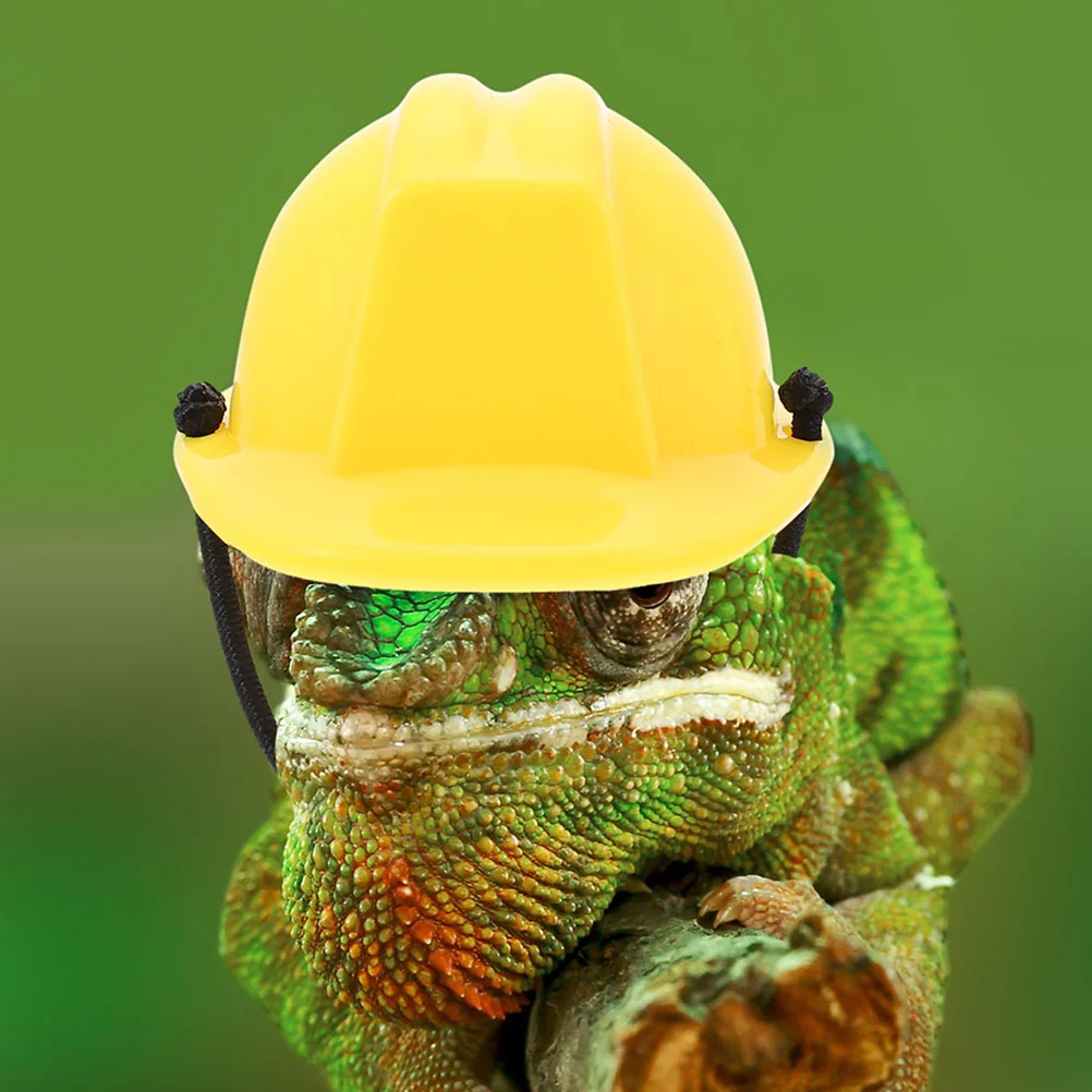 Lizard Decorative Hat Small Pet Head Decor Hard Crawl Mini Safety Tiny Reptile Cosplay Caps
Lizard Decorative Hat Small Pet Head Decor Hard Crawl Mini Safety Tiny Reptile Cosplay Caps