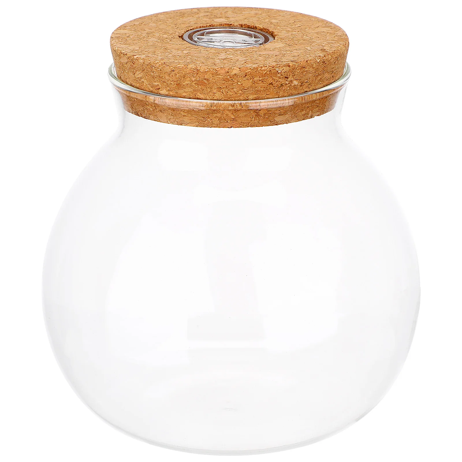 LED Light Ecological Bottle Seaweed Ball Plant Terrarium Jar with Fish Tank Self Cleaning Moss Glass Decorate
LED Light Ecological Bottle Seaweed Ball Plant Terrarium Jar with Fish Tank Self Cleaning Moss Glass Decorate