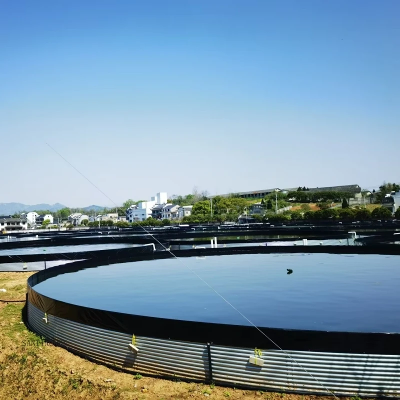 2025Flexible Aquaculture System Commercial Round Farming Tank Pool Tarpaulin Fish Pond 
2025Flexible Aquaculture System Commercial Round Farming Tank Pool Tarpaulin Fish Pond
