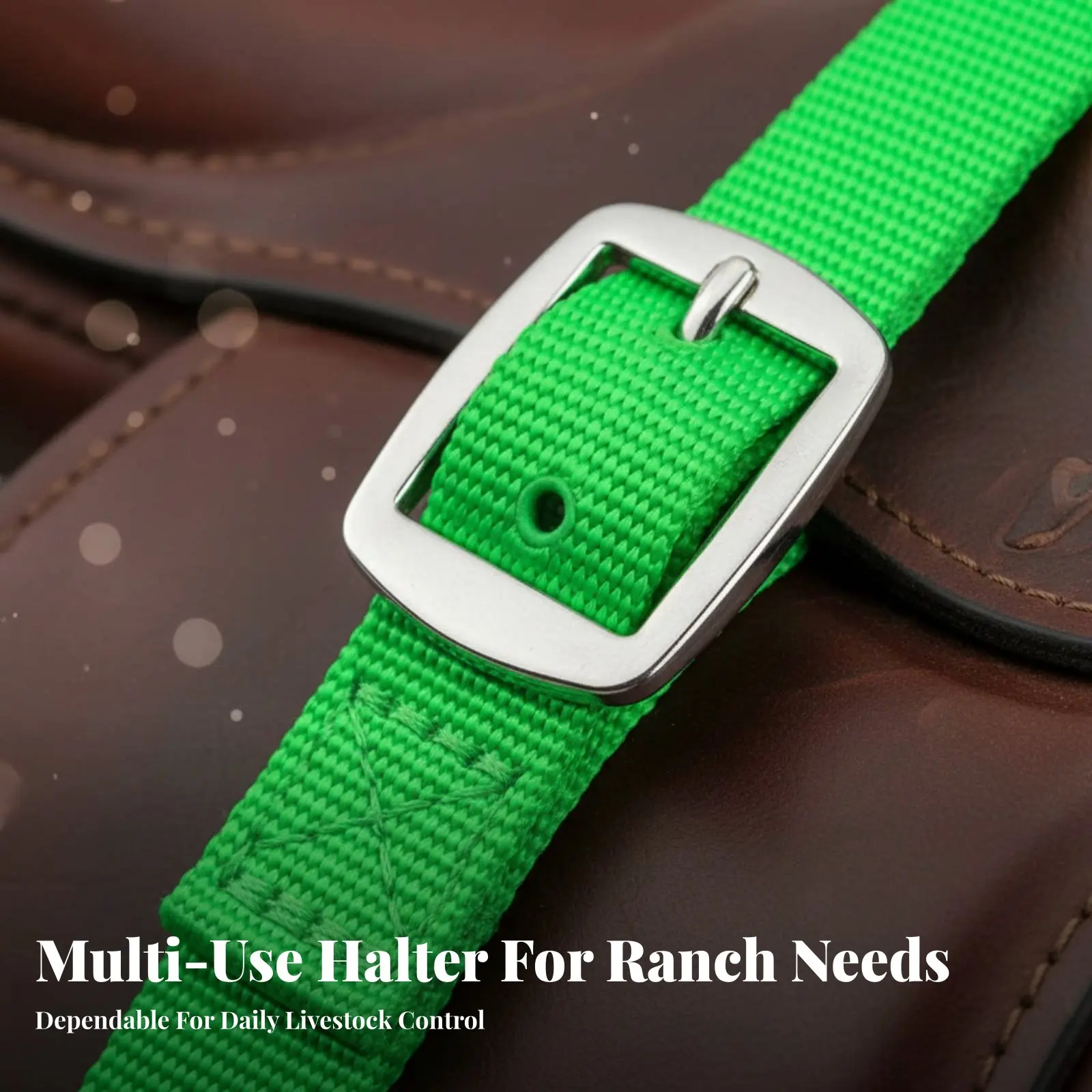 Adjustable Cow Halter with Lead Rust-Resistant Hardware Sturdy-Duty Calf Halter Nylon Cattle Head Collar Livestock Headgear
Adjustable Cow Halter with Lead Rust-Resistant Hardware Sturdy-Duty Calf Halter Nylon Cattle Head Collar Livestock Headgear