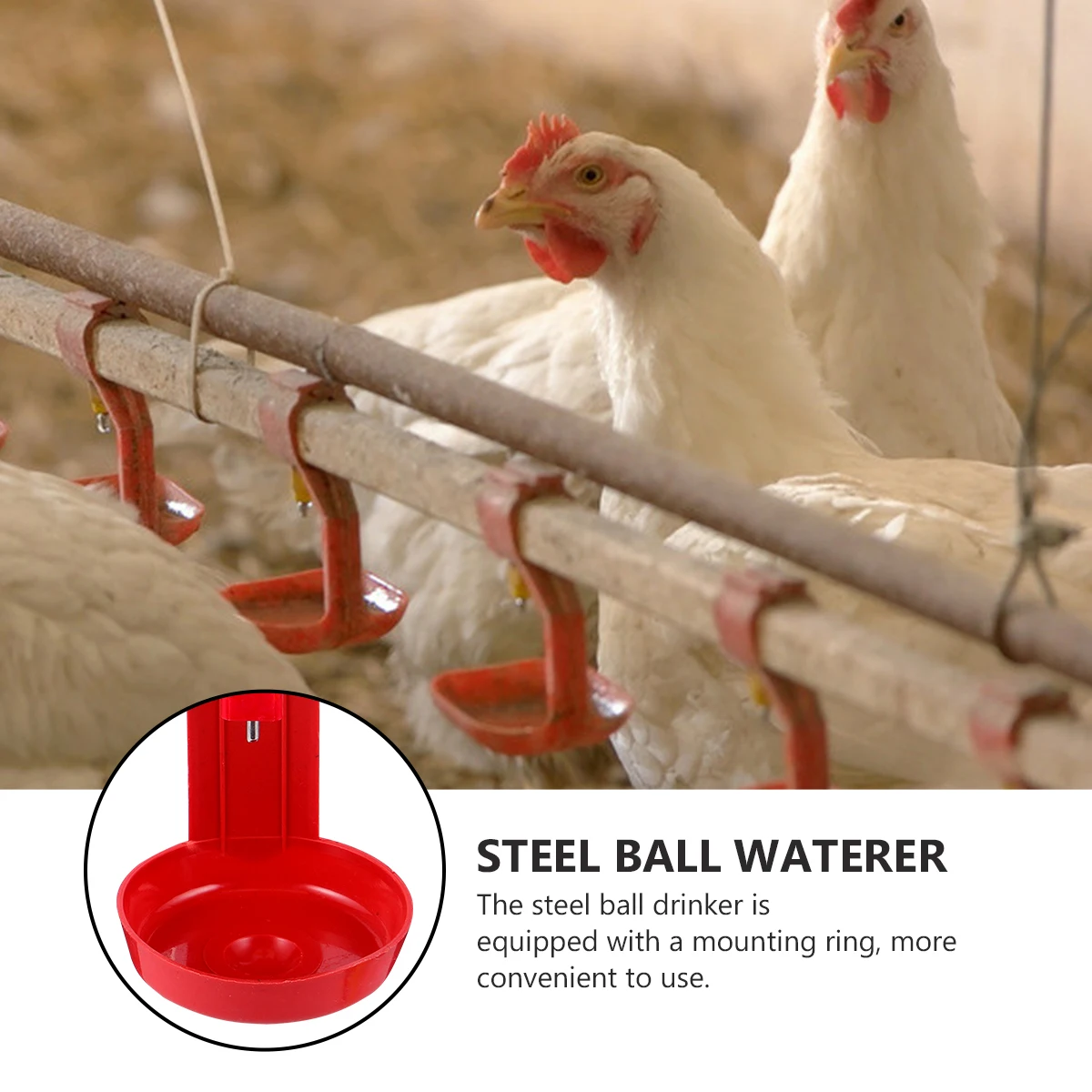 10pcs Chicken Drinker Bowl Steel Ball Waterer Automatic System For Poultry Nipples Quail Ducks Geese Livestock Easy
10pcs Chicken Drinker Bowl Steel Ball Waterer Automatic System For Poultry Nipples Quail Ducks Geese Livestock Easy