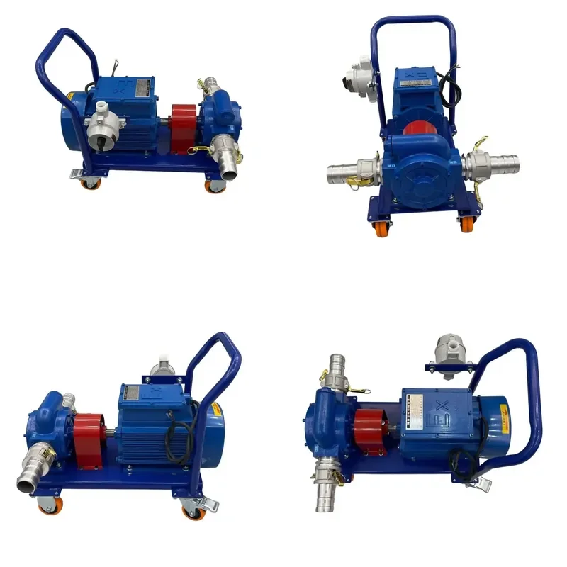DN50 Explosion-proof Self-priming Aluminium Gear Pump 220V Automotive Fuel Transfer Pump Oil Dispenser Manufacturer Wholesale
DN50 Explosion-proof Self-priming Aluminium Gear Pump 220V Automotive Fuel Transfer Pump Oil Dispenser Manufacturer Wholesale
