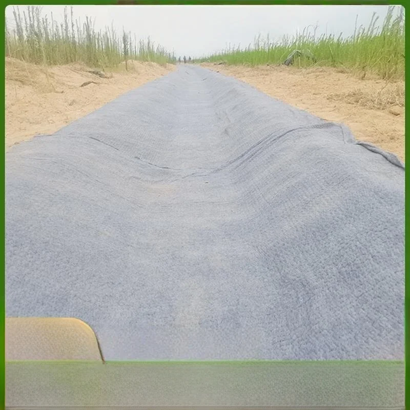 Thickened Concrete Cement Blanket Fish Pond Water Crossing Slope Protection Road Paving Repair Project Mat
Thickened Concrete Cement Blanket Fish Pond Water Crossing Slope Protection Road Paving Repair Project Mat