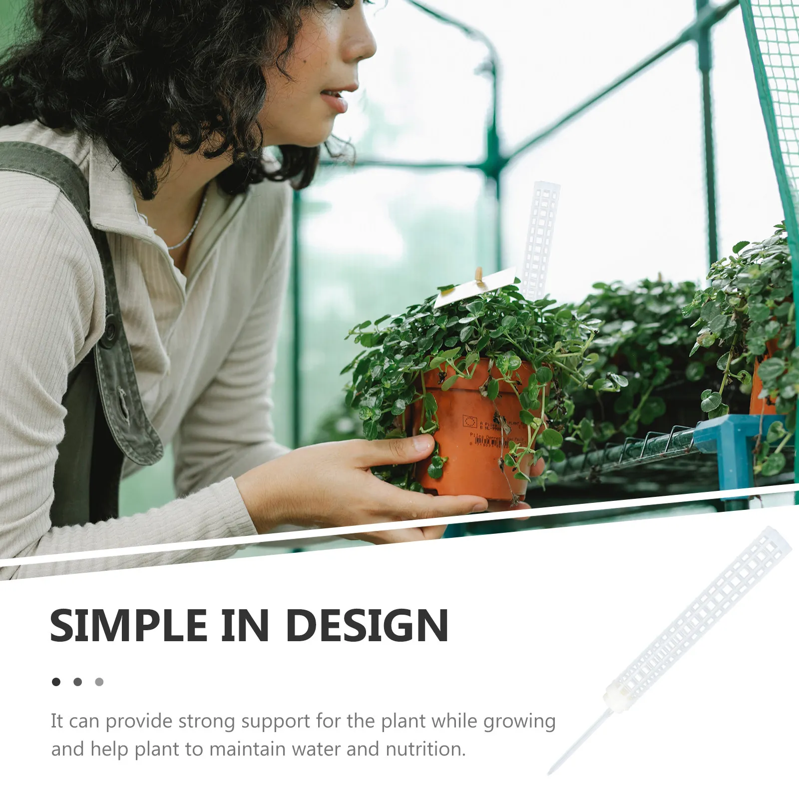 4Pcs Moss Pole Plant Climbing Column Garden Plastic Support Tool for Climbing Plants Vine Support Rack Plant Growth Helper
4Pcs Moss Pole Plant Climbing Column Garden Plastic Support Tool for Climbing Plants Vine Support Rack Plant Growth Helper