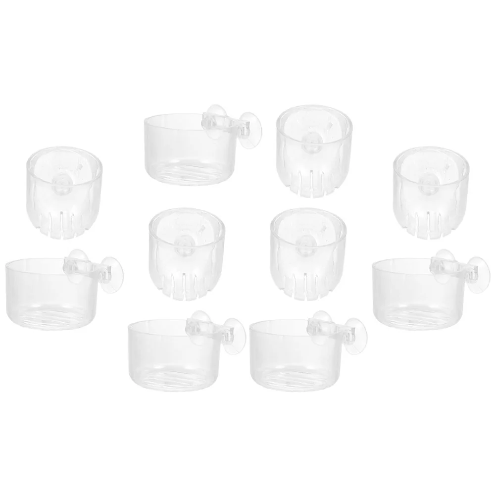 10 Pcs Live Aquarium Plants Aquatic Cup Rack Fish Food Feeding Cups Tool Suction
10 Pcs Live Aquarium Plants Aquatic Cup Rack Fish Food Feeding Cups Tool Suction