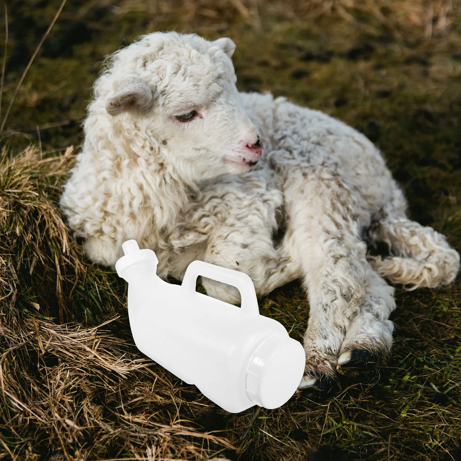1 set 2L Reusable Calf Feeding Bottle For Lambs Goats Calves Livestock Milk Feeder Small Animal Farm Nursing Tool
1 set 2L Reusable Calf Feeding Bottle For Lambs Goats Calves Livestock Milk Feeder Small Animal Farm Nursing Tool