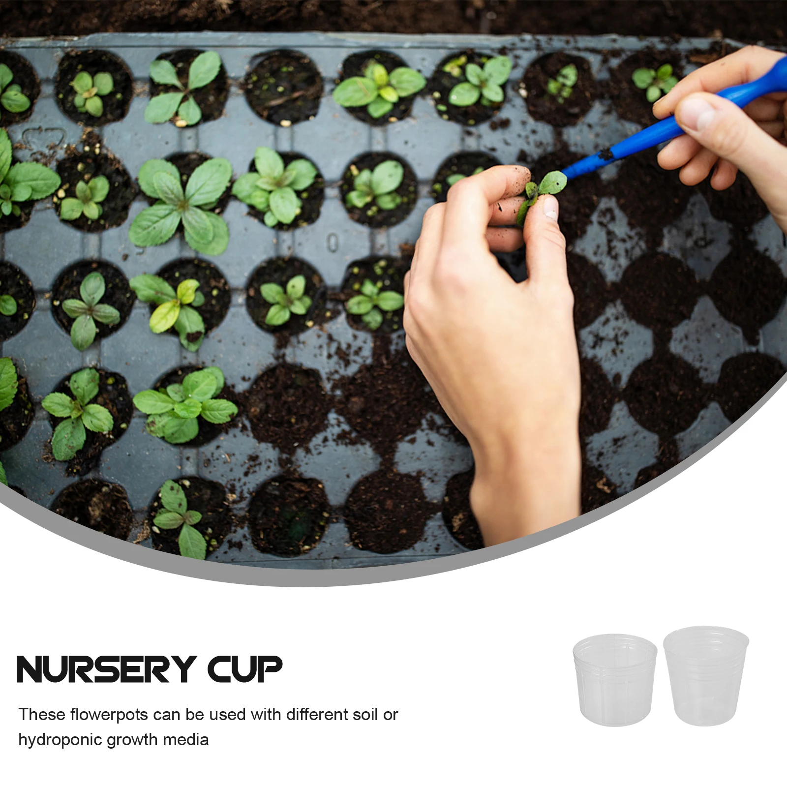50pcs Nursery Cups for Seedlings Transplanting No Root Damage Flower Pots Planting Containers Herbs Vegetables Fruits Plastic
50pcs Nursery Cups for Seedlings Transplanting No Root Damage Flower Pots Planting Containers Herbs Vegetables Fruits Plastic