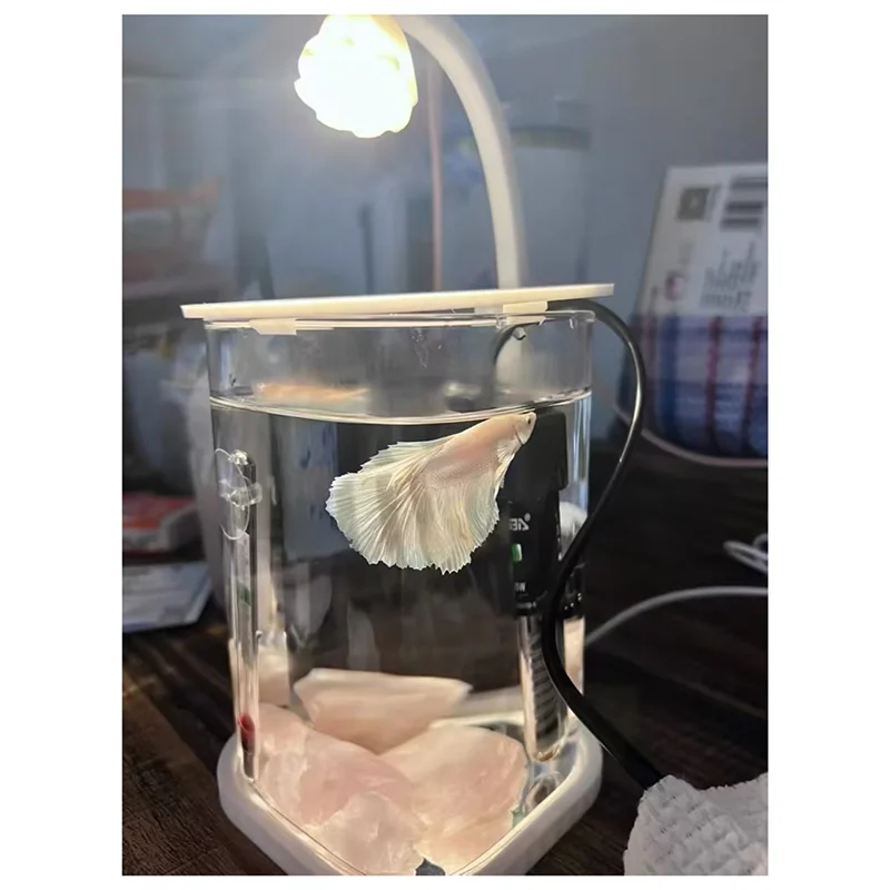 Mini Desktop Glass Aquarium Fish Tank With Colored Crystal LED Lamp Desktop Ornaments High-End Glass Lamp
Mini Desktop Glass Aquarium Fish Tank With Colored Crystal LED Lamp Desktop Ornaments High-End Glass Lamp