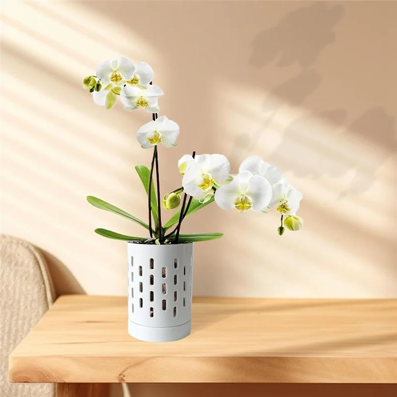 Orchid Pots Withholes Orchid Pots Clear Orchid Pots Orchid Pot Orchid Pots Withdrainage-B09B
Orchid Pots Withholes Orchid Pots Clear Orchid Pots Orchid Pot Orchid Pots Withdrainage-B09B
