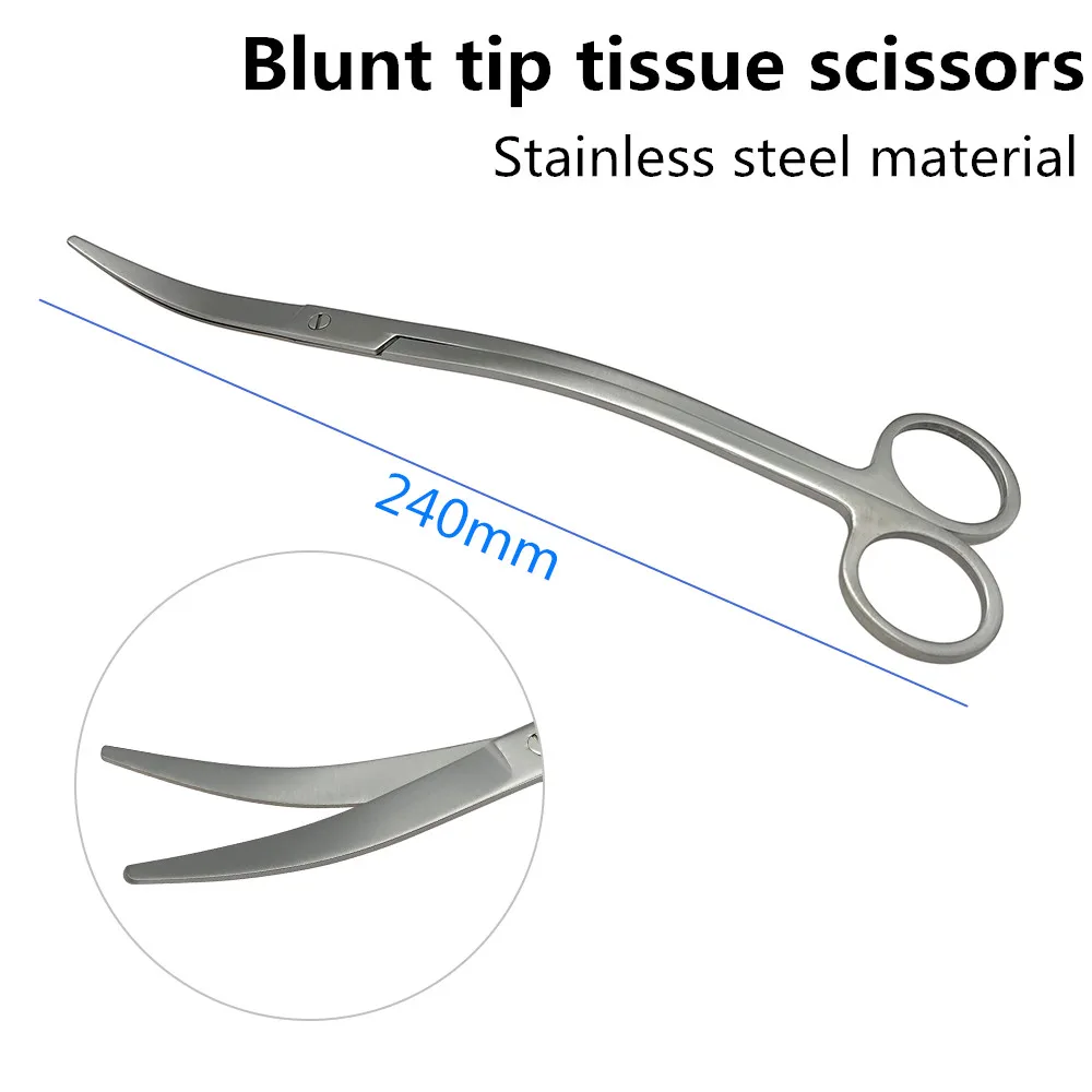 1pc Stainless Steel Curved beauty scissors cut tissue scissors Ophthalmic Medical Scissors Dental Surgical Instrument
1pc Stainless Steel Curved beauty scissors cut tissue scissors Ophthalmic Medical Scissors Dental Surgical Instrument