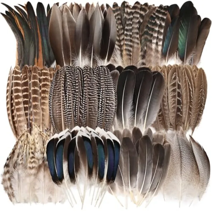 Natural Feathers Bulk - 50PCS - 2 Styles Assorted Natural Feathers, Pheasant Feathers, Turkey Feathers for DIY Crafts, Wedding,
Natural Feathers Bulk - 50PCS - 2 Styles Assorted Natural Feathers, Pheasant Feathers, Turkey Feathers for DIY Crafts, Wedding,