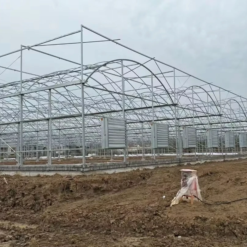 Customized greenhouseAgricultural Multi-span Film Greenhouses for Tomato/Strawberry/Watermelon Hydroponic growing Greenhouse
Customized greenhouseAgricultural Multi-span Film Greenhouses for Tomato/Strawberry/Watermelon Hydroponic growing Greenhouse