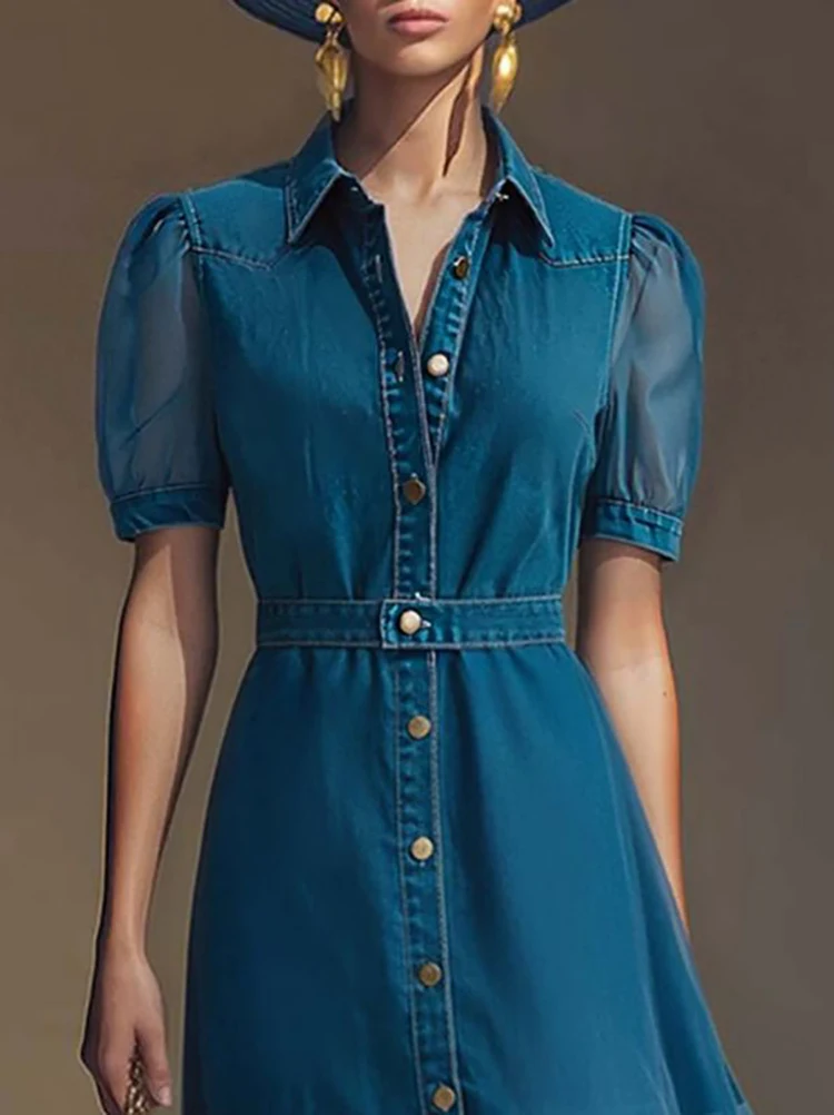 Women's Elegant Denim Maxi Dress Sheer Mesh Puff Sleeve Shirt Dress Button Down Belted Waist High Street Retro Long Jean Dresses
Women's Elegant Denim Maxi Dress Sheer Mesh Puff Sleeve Shirt Dress Button Down Belted Waist High Street Retro Long Jean Dresses