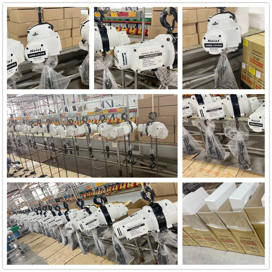 Лидер продаж 2023 года, дешевая мини-электрическая цепная таль объемом 1000 кг для OEM с дистанционным управлением
Лидер продаж 2023 года, дешевая мини-электрическая цепная таль объемом 1000 кг для OEM с дистанционным управлением