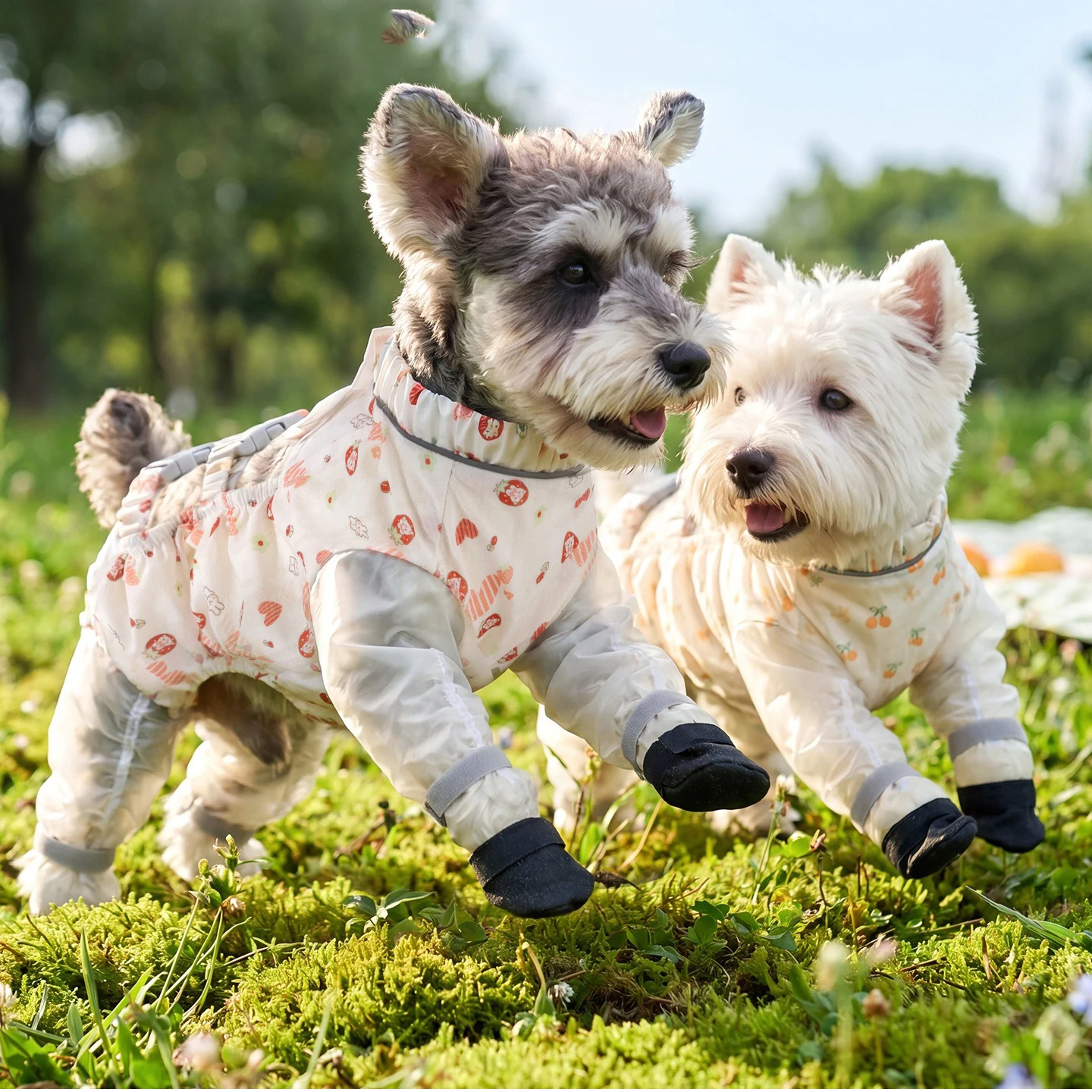 Outdoor Dog Dust Pants Mosquito Proof Pet Clothes Summer Thin Design Small and Medium-sized Dog Four Legged Jumpsuit
Outdoor Dog Dust Pants Mosquito Proof Pet Clothes Summer Thin Design Small and Medium-sized Dog Four Legged Jumpsuit
