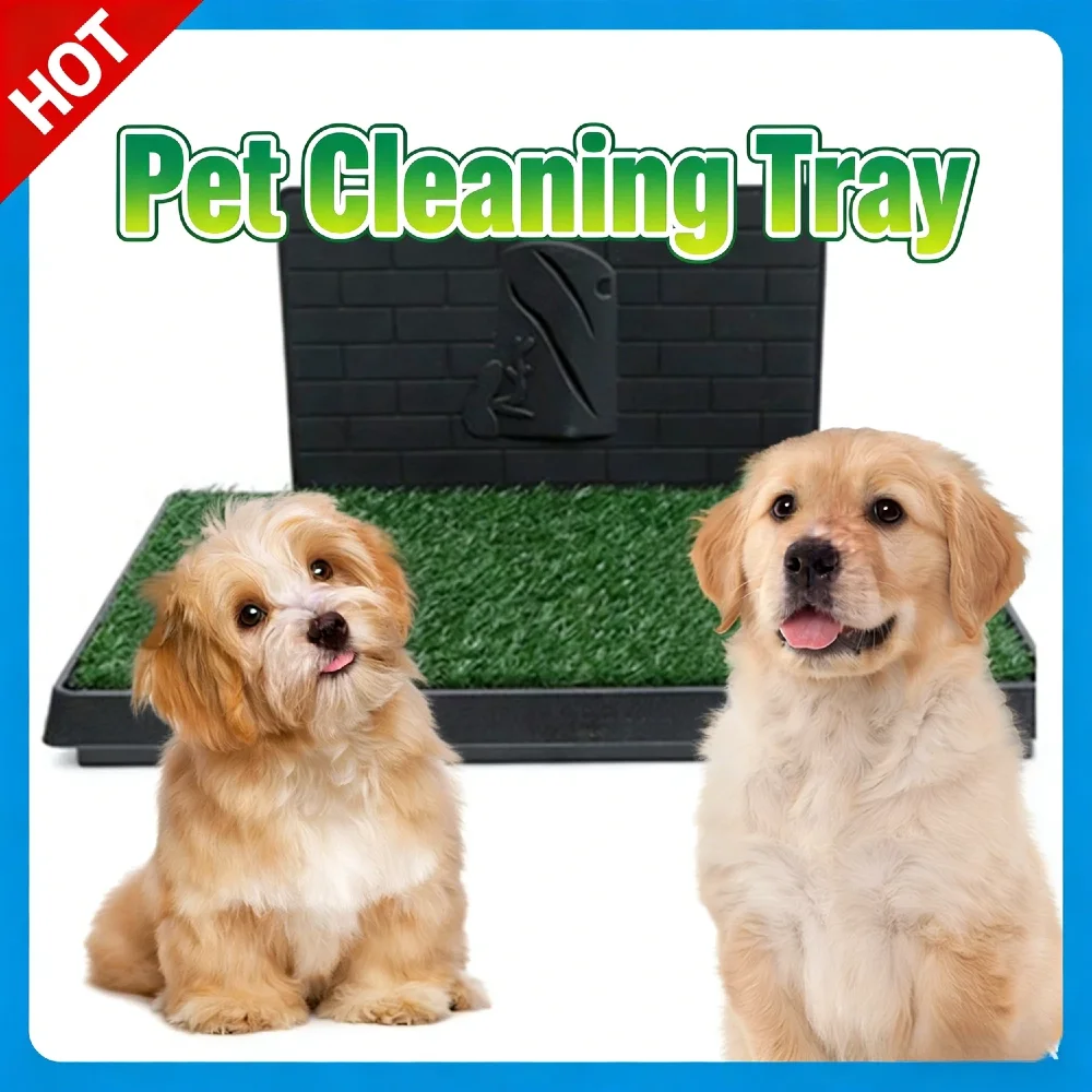 Подушечка для травы для собак с большим подносом Многоразовые тренировочные подушечки с перегородкой для мочи Искусственная трава Идеально подходит для маленьких и средних собак
Подушечка для травы для собак с большим подносом Многоразовые тренировочные подушечки с перегородкой для мочи Искусственная трава Идеально подходит для маленьких и средних собак