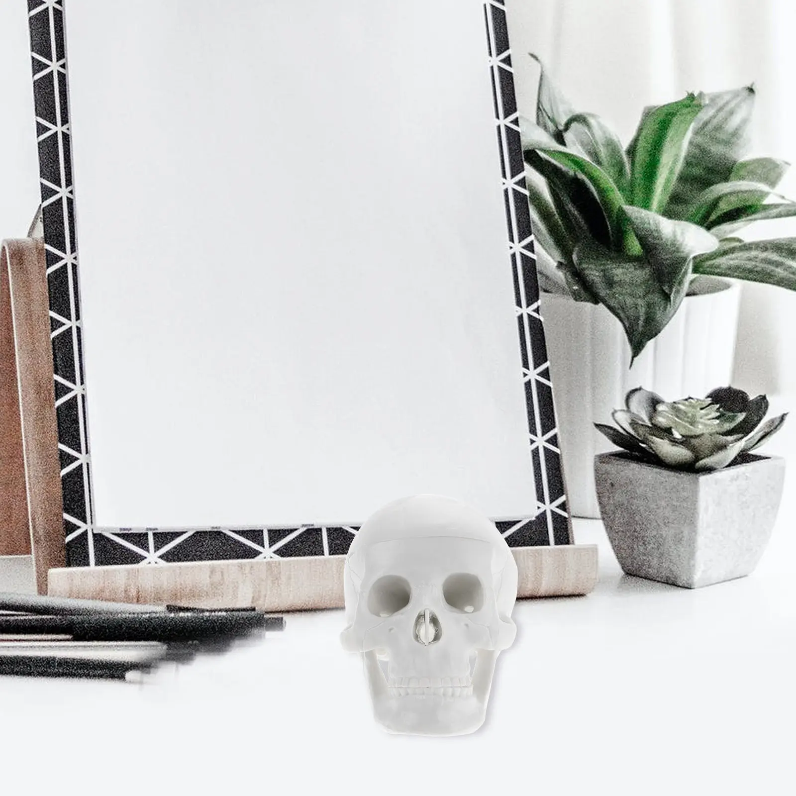Mini Skull Human Skull Detailed Anatomical Teaching Tool Realistic Display Halloween Decor Drawing Practice
Mini Skull Human Skull Detailed Anatomical Teaching Tool Realistic Display Halloween Decor Drawing Practice