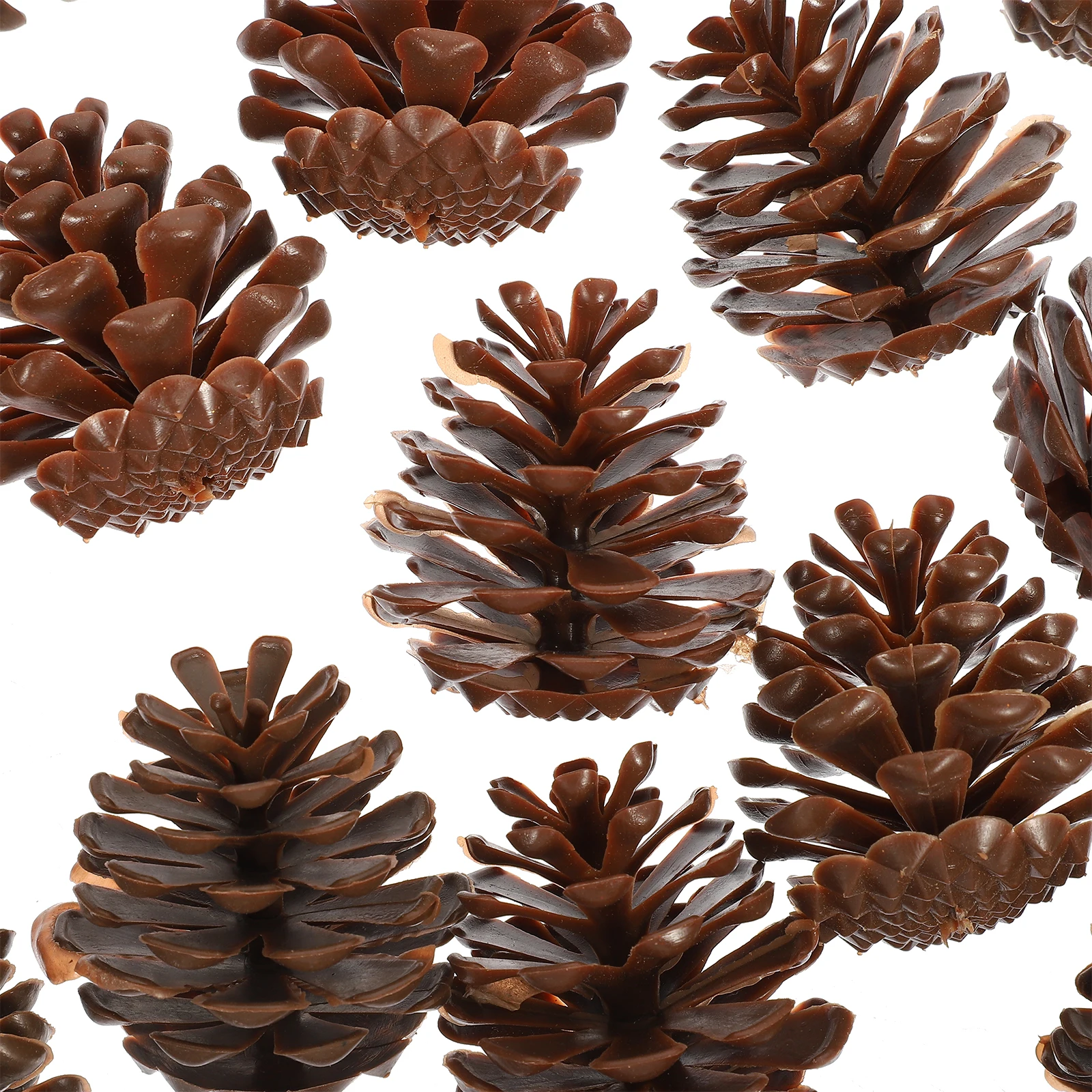 30 Pcs Pine Cone 6cm Plastic Christmas naments Fall Decor Home Party Wedding Store DIY Plastic Pine Cone Craft
30 Pcs Pine Cone 6cm Plastic Christmas naments Fall Decor Home Party Wedding Store DIY Plastic Pine Cone Craft